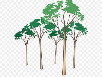 Stock photography Royalty-free Clip art - Tree vector 