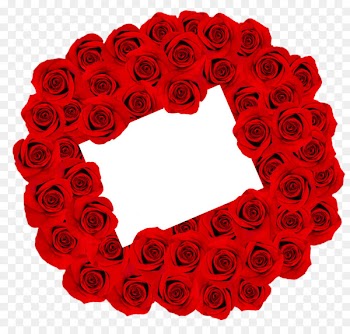 Stock photography Royalty-free Rose Picture frame - Love Rose 
