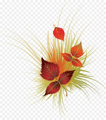 Stock Photography, Royaltyfree, Drawing, Red, Flower PNG