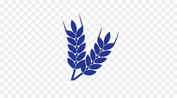 Stock Photography, Royaltyfree, Royalty Payment, Leaf, Plant PNG