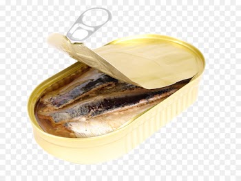 Stock photography Sardine Oil - oil 