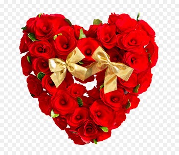 Stock photography Valentine's Day Rose Flower Gift - valentine's day 