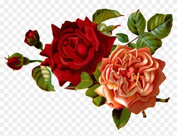 Stock Rose Clipart - Vintage Red Flower Png