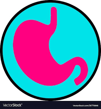 stomach