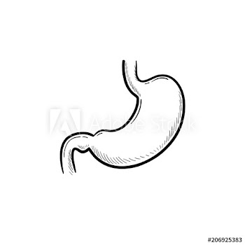 Stomach digestion hand drawn outline doodle icon