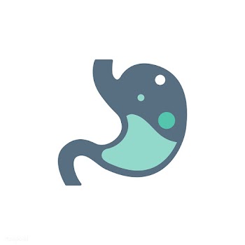 Stomach digestion health | Free stock vector - 396744