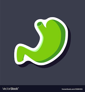 Stomach paper sticker on stylish background vector image