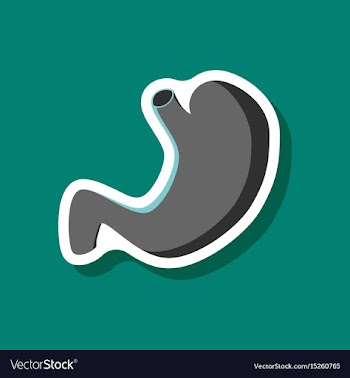 Stomach paper sticker on stylish background vector image
