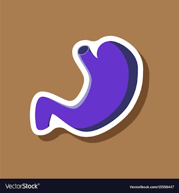 Stomach paper sticker on stylish background vector image