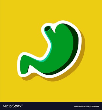 Stomach paper sticker on stylish background vector image