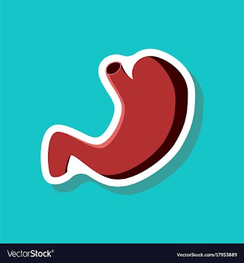 Stomach paper sticker on stylish background vector image