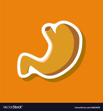 Stomach paper sticker on stylish background vector image