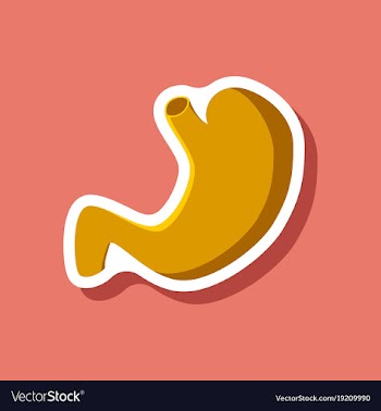 Stomach paper sticker on stylish background vector image