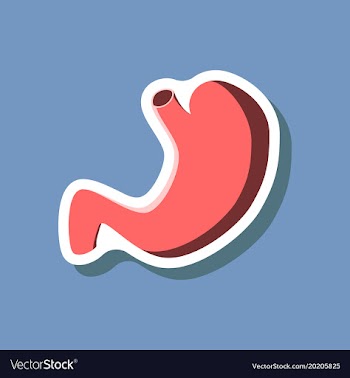 Stomach paper sticker on stylish background vector image