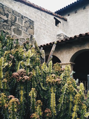 Stone And Brick Building With Cactus Plants