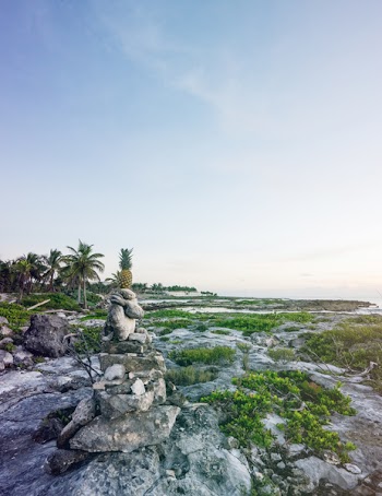 Stone and Pineapple on Top
