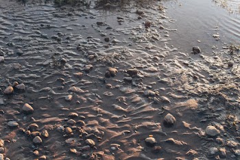 Stone and Water