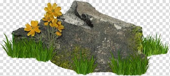 Stone Author Winter , others transparent background PNG clipart