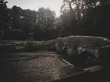 Stone Bridge Near Trees 