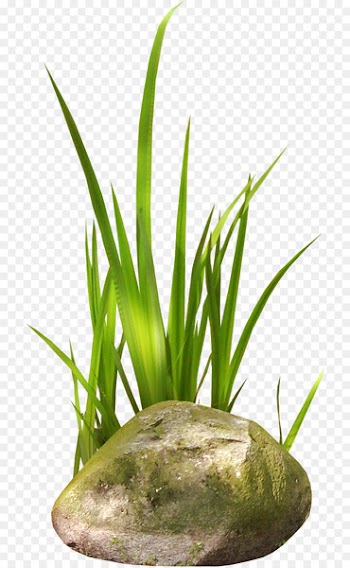 Stone Cattail Forest Clip art - easter grass 