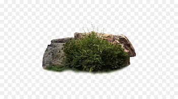 Stone Forest Rock Download - Rock grass group 