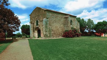 Stone House Near Trees