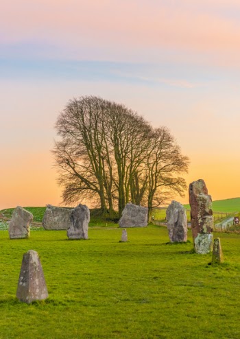 Stone Near Tree