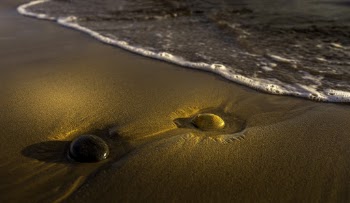 Stone on Seashore during Golden Hour