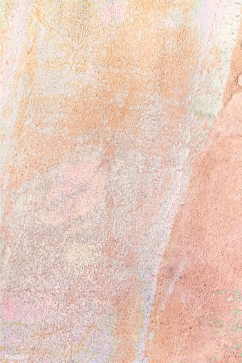 Stone slab background | Free stock vector - 596997