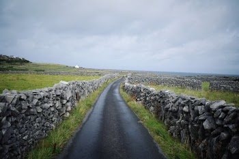Stone Walls In Irish Fields
