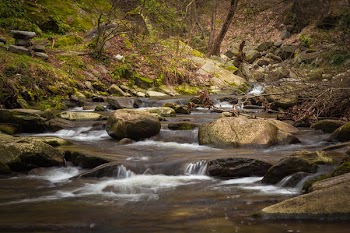 Stones in Middle of River