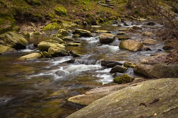 Stones in the Middle of River