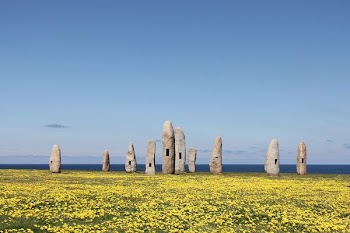 stones on grass field