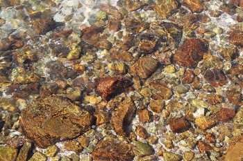 Stones Under Clear Water