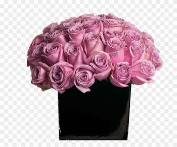 Stop And Smell The Roses