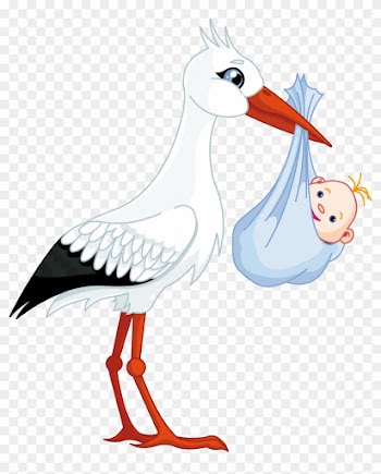 Stork Baby Png - Twins Boy And Girl Cartoon