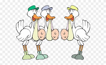 Stork - Baby Shower