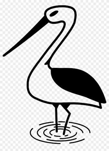 Stork Bird Nature - Stork