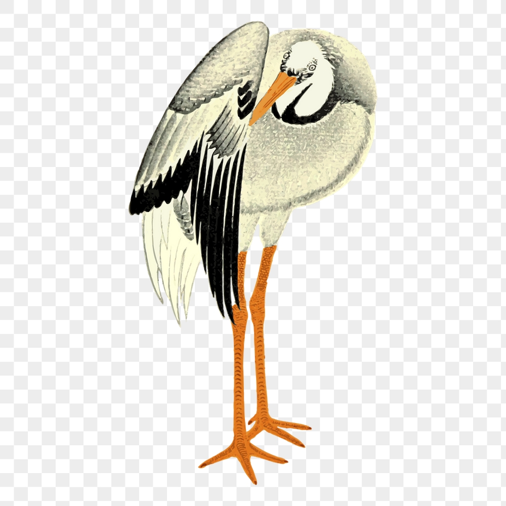 Stork bird png sticker, vintage | Free PNG - rawpixel