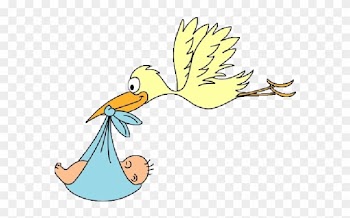 Stork Carrying Baby Boy Cartoon Clip Art Images - Stork And Baby Png