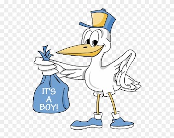 Stork Clipart Hospital Nursery - Baby Boy Cartoon
