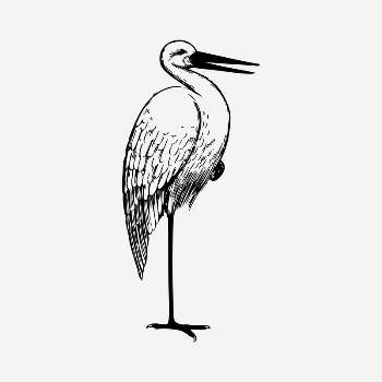 Stork collage element, black & | Free PSD Illustration - rawpixel