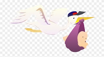 Stork Delivering Baby - Stork Carrying Baby Yard Sign