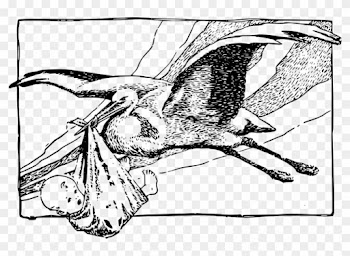Stork Flying With Baby - Black And White Vintage Stork And Baby