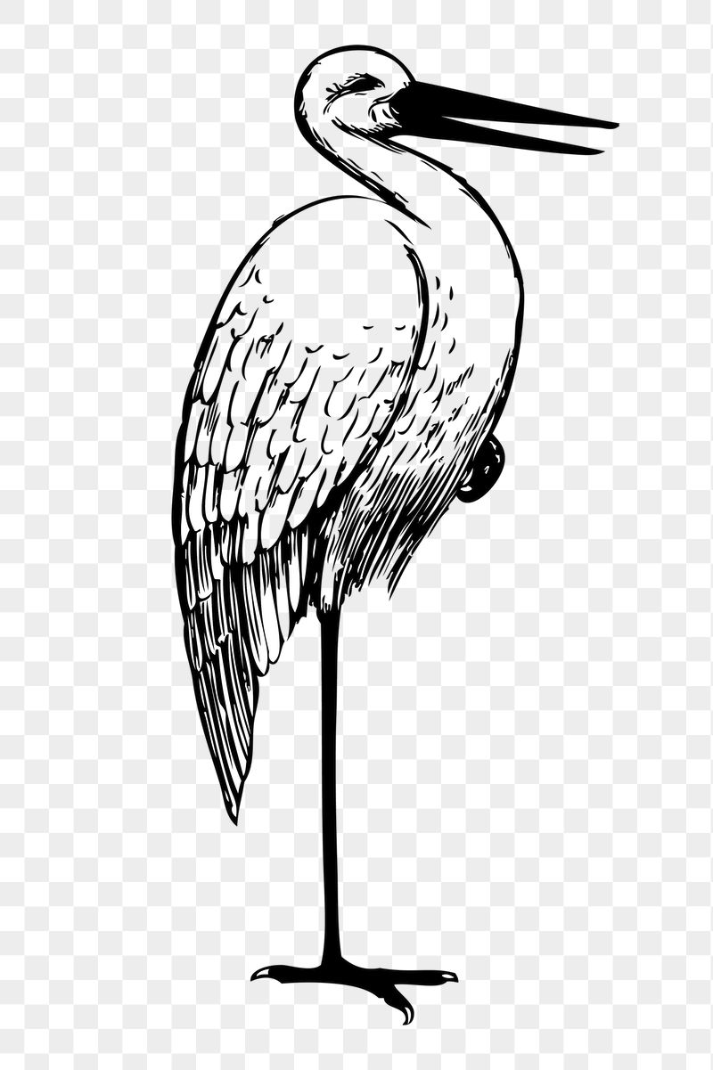 Stork png sticker illustration, transparent | Free PNG - rawpixel