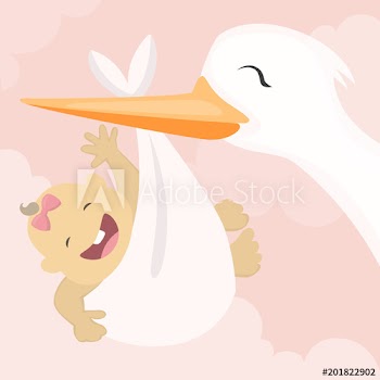 Stork with baby