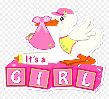 Stork With Baby Girl Download - Its A Girl Png