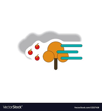 Storm and tree hurricane disaster vector image