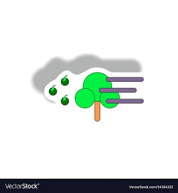 Storm and tree hurricane disaster vector image