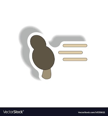 Storm and tree hurricane disaster vector image